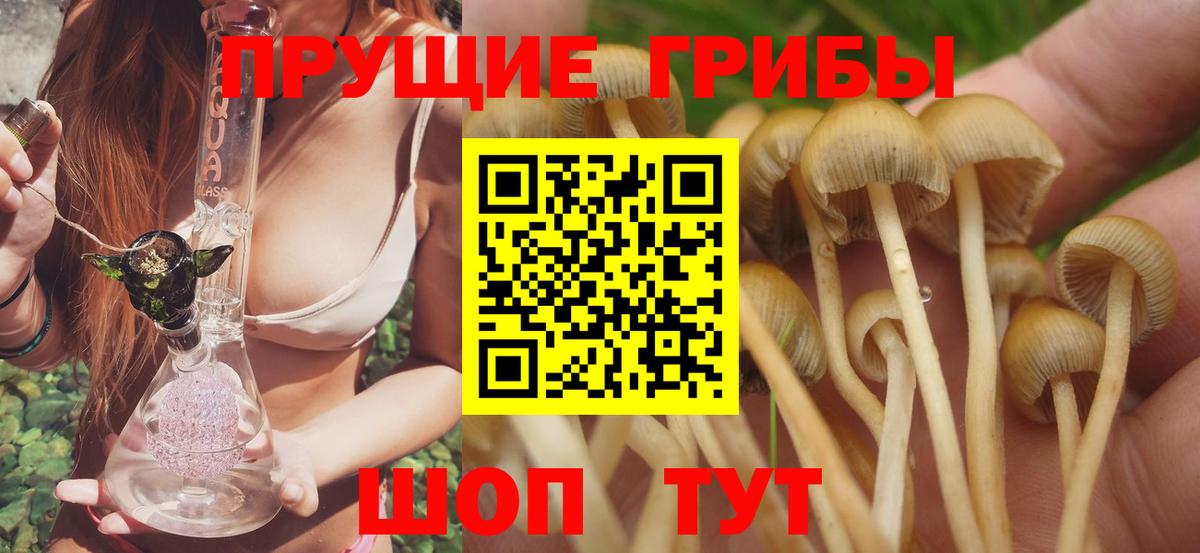 Псилоцибиновые грибы мухоморы  Вход с VPN  Галлюциногенные грибы Magic Shrooms  Ирбит 