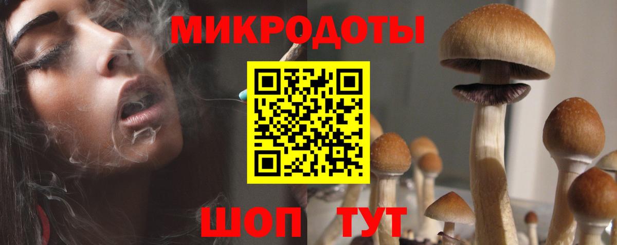 Галлюциногенные грибы GOLDEN TEACHER Ирбит